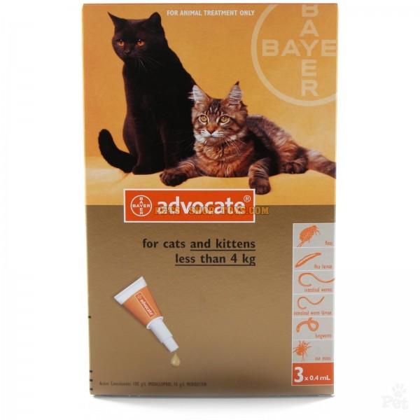 advocate for cats ear mites